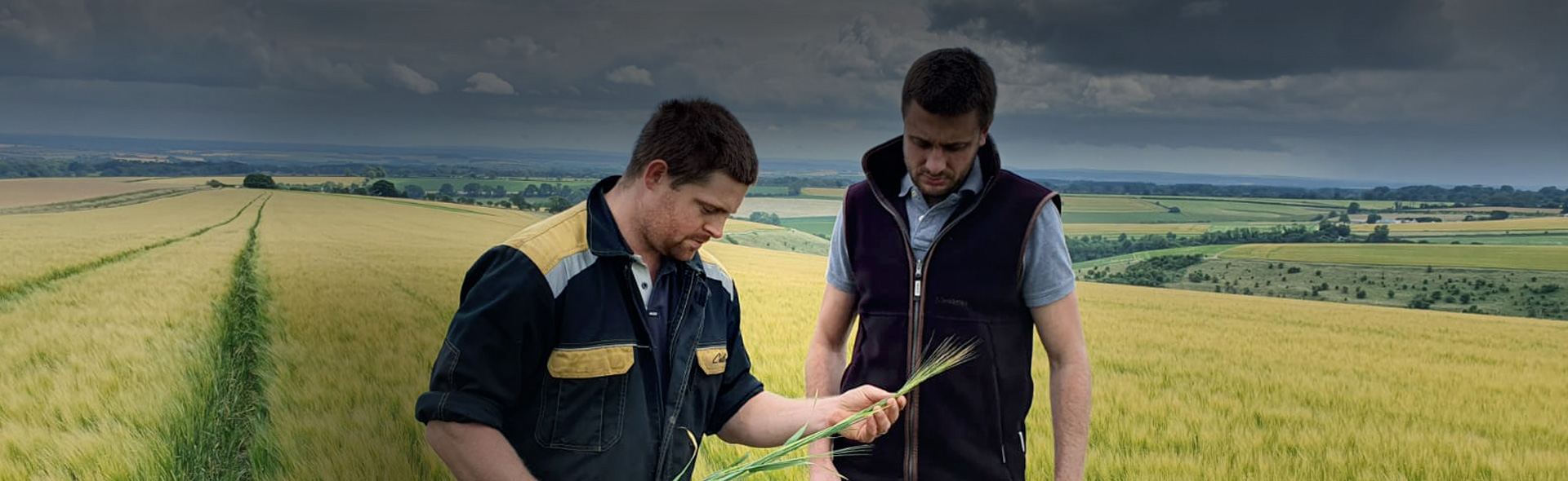 Research-backed agronomy to help you produce sustainable crops.