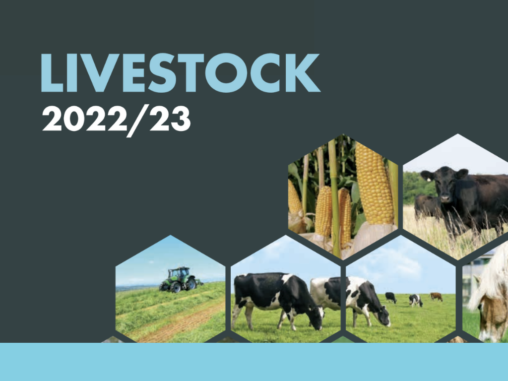 Livestock 22 23 Cover