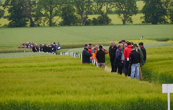 Agrii Ifarm Oldmeldrum