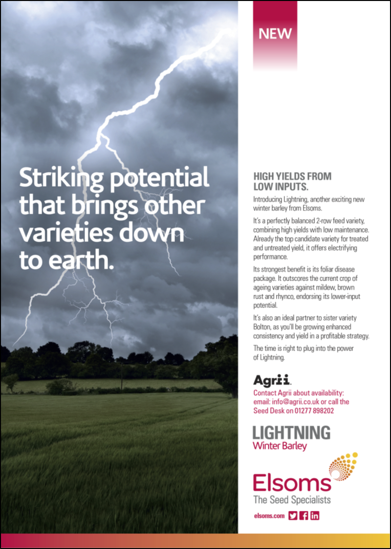 Lightning Advert