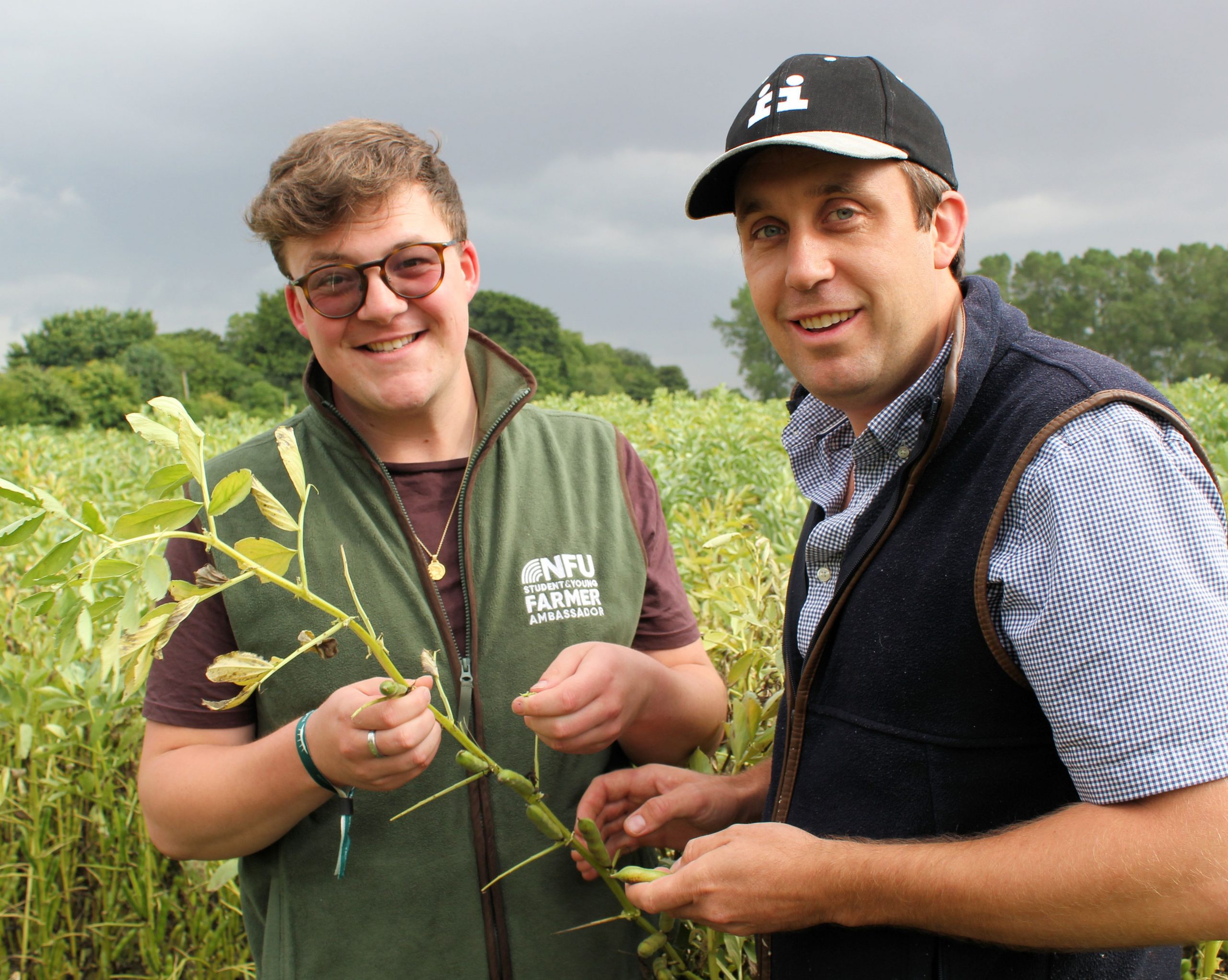 Mike Wilkins Left and Ollie Pattemore Checking One Of Their Promising Bean Crops