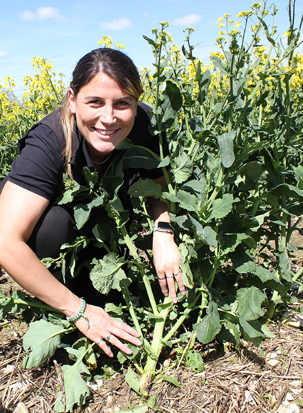 DK Exsteel's Thick Collar And Branching Right From The Base Are What Jazzmyn Jex Is Looking For In An OSR Crop