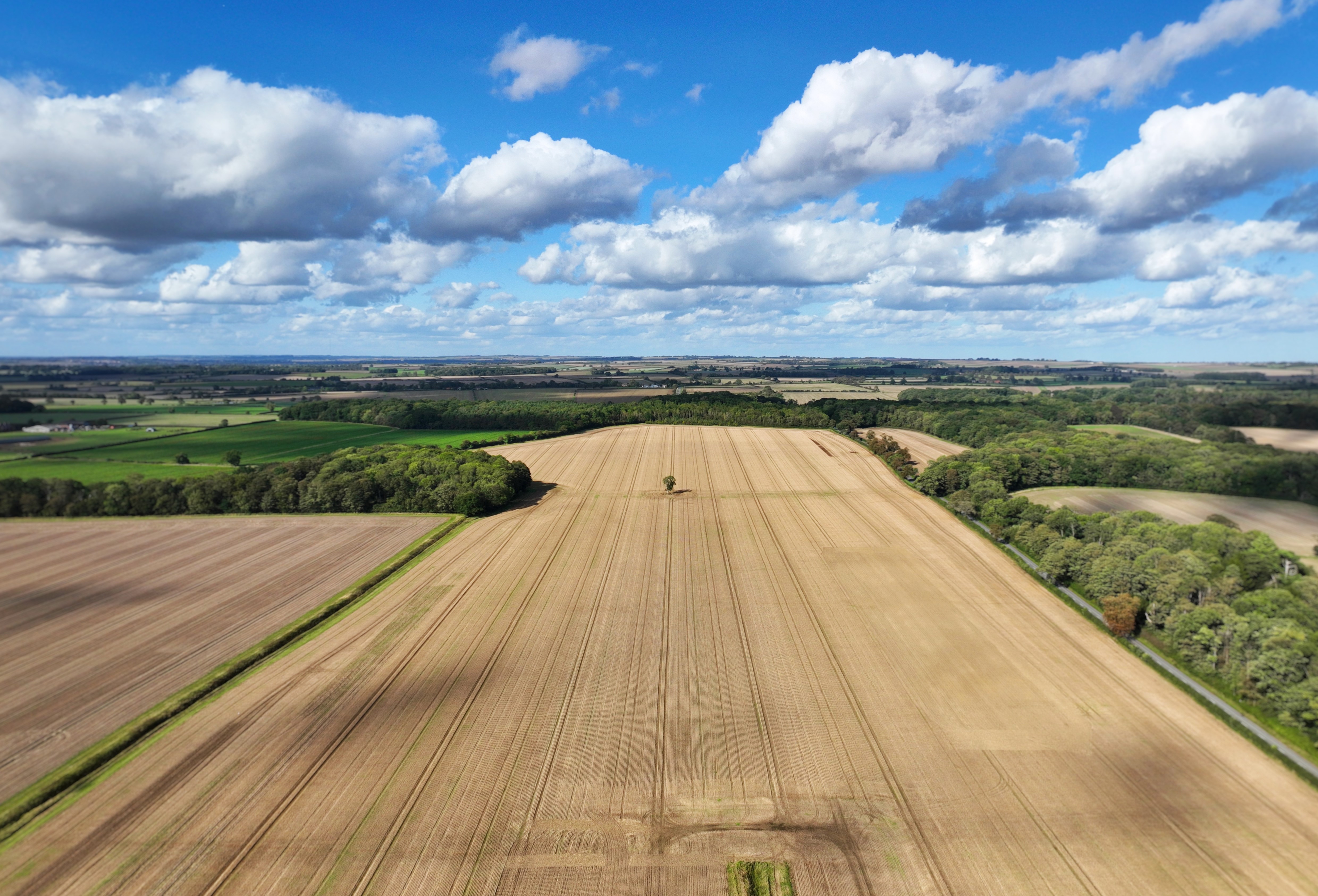 Revesby Estate Montrose Digital Technology Farm 