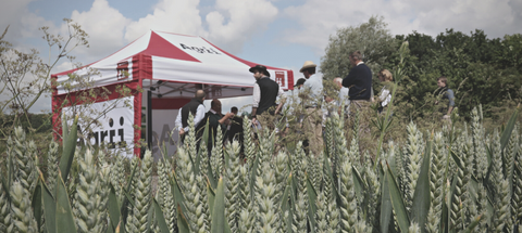 Agrii gazebo in field of wheat at an ifarm event