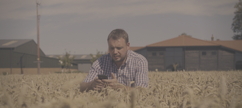 Sam Fordham inspecting crops for RHIZA